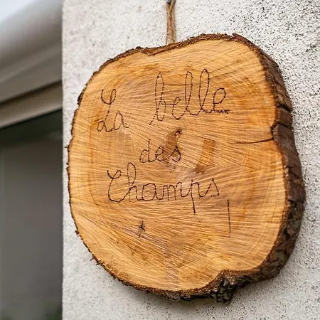 La Belle Des Champs - Proche Et Puy Dufou * ショレ