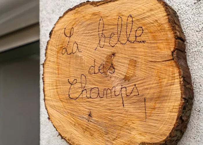 La Belle Des Champs - Proche Et Puy Dufou * ショレ